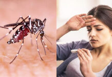 डेंगु संक्रमित ४० हजार नाघे,अझै बढ्न सक्ने विज्ञको अनुमान